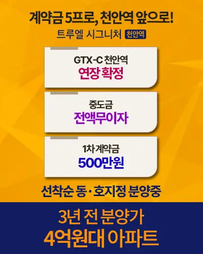 팝업이미지1